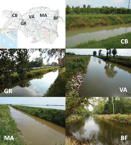 Figure 1. Study sites in the Po River Delta area (Ferrara Province): CB Cavo Bondesano, GR Gramicia, VA Val d’Albero, MA Malpiglio, BF Bassa dei Frassini