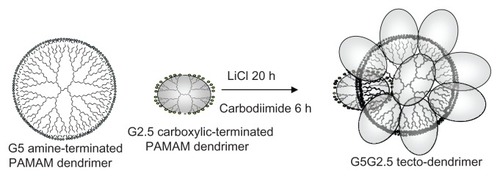 Figure 1 Schema of G5G2.5 tecto-dendrimer synthesis.Abbreviation: PAMAM, polyamidoamine.