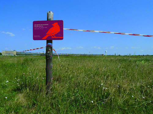 Figure 3 Tempelhof Airport, Berlin. The dry grasslands between the abandoned runways have become important nesting sites for the skylark, Alauda arvensis, a bird that is now much diminished in its natural habitat of open country across much of Europe. Photo by the author (2011). (Color figure available online.)