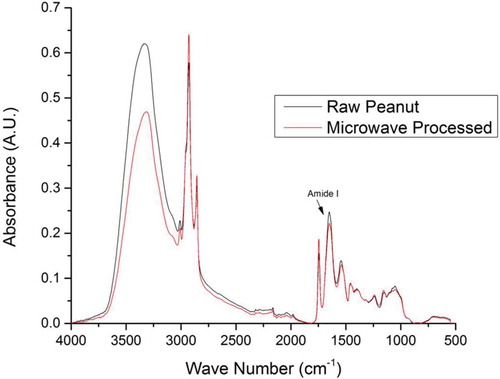 FIGURE 1 FTIR spectrum of raw and microwave processed (100-15) peanut samples.