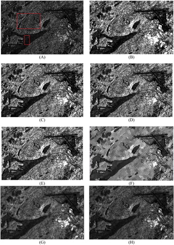 Figure 8. St. John’s: (A) original one-look HH intensity image. The rectangle on the top and the bottom of the image shows the regions used for computation of coefficient of variation and ENL, respectively, (B) the 5 × 5 average filtered image, (C) the 5 × 5 MMSE (Lee Citation1980, Citation1981a) filtered image, (D) the 5 × 5 enhanced Lee (Lopes, Touzi, and Nezry Citation1990) filtered image, (E) the 5 × 5 Gamma (Lopes et al. Citation1993) filtered image, (F) PPB (Deledalle, Denis, and Tupin Citation2009) filtered image with hw = 10, hd = 3, and 4 iterations, (G)average filtered image with adaptive window size, and (H) MMSE filtered image with adaptive window size.