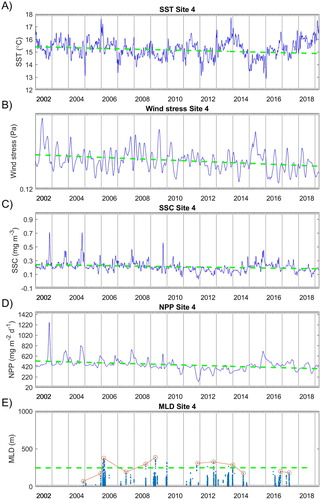 Figure 5. Time series of observed quantities at Site 4 (shown in Figure 1) with annual cycles removed. A, Sea surface temperature (SST); B, Wind stress magnitude; C, Sea surface chlorophyll (SSC); D, Net primary production (NPP); E, Mixed layer depth (MLD) derived from Argo profiles taken within 500 km of the site. Red circles indicate the deepest MLD in each year. Also shown are linear trends fit to the data (red dashed line if significant, green dashed line if not significant).