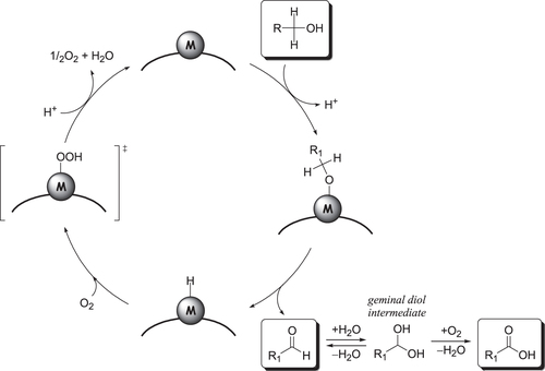 Figure 10. Proposed mechanism for the oxidation of a primary alcohol and successive oxidation of the corresponding aldehyde over a supported metal catalyst with O2 [Citation171].