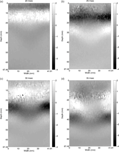 Figure 2. Image of raw displacement data used for this study showing propagating shear waves. Waves propagate from top to bottom surface. Only the downward displacement component is measured, in μm. Available in colour online.