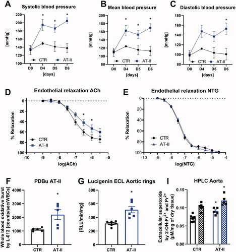 Figure 1. Effects of 1-week angiotensin-II treatment on blood pressure and vascular function in rats as previously published. AT-II infusion caused arterial hypertension (increased systolic, mean and diastolic blood pressure) on day 4, 5 and 6, or only on day 6, respectively, as measured by tail cuff plethysmography (A, B, C). Arterial hypertension was associated with endothelial dysfunction (impaired acetylcholine, ACh response) but not with smooth muscle dysfunction (unchanged nitroglycerin, NTG response) as measured by isometric tension method using isolated aortic ring segments (D, E). Leukocyte-derived ROS formation (oxidative burst) in whole blood upon stimulation with phorbol ester (PDBu) was increased in AT-II-treated rats as measured by L-012 enhanced chemiluminescence (F). Continuous AT-II infusion increased lucigenin-enhanced chemiluminescence in isolated aortic rings (G). Levels of 2-OH-Pr2+ and Pr2+ were determined by HPLC after ex vivo incubation of the HPr+ probe with freshly isolated aortic tissue (I). Data are presented as mean ± SEM from n = 5–6 (A, B, C, F, G, I) and 12 (D, E) animals/group. p < 0.05: * vs. CTR. Adapted from [Citation26] with permission under the Creative Commons Attribution License agreement.