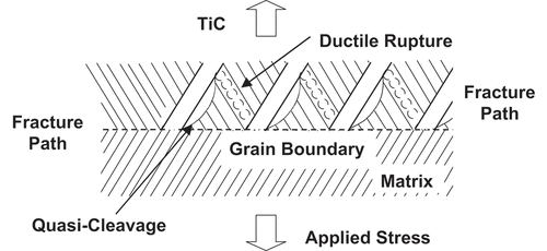 Figure 3. Schematic representation of fracture process in steel with grain boundary TiC carbides (adapted from reference [Citation10]).