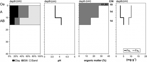 FIGURE 8. Soil texture, pH value (measured in 0.01 M CaCl2 dilution), organic matter content, and Fed and Feo content of profile 5