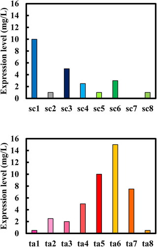 Figure 6. Optimization of expression by investigating the culture conditions of Brevibacillus choshinensis. Expression levels were estimated by western blotting analysis of culture supernatant.
