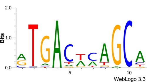 Figure 2 Typical ARE sequence logo. An ARE sequence logo was generated using predicted Nrf2 binding sites in the regulatory regions of the highest upregulated genes from Hybertson et al,Citation40 in which cultured human umbilical vein endothelial cells were treated with a phytochemical Nrf2 activator mixture.