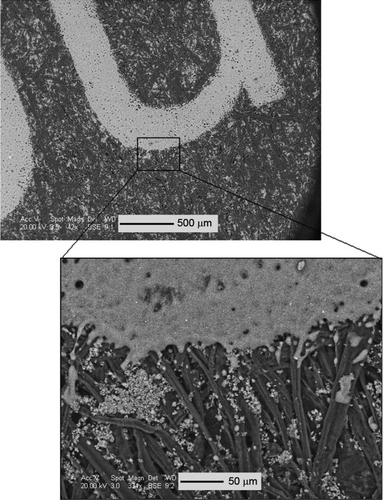 FIG. 8 SEM image of printed page, showing melted toner in the shape of printed letters and paper coating (nonmelted particles attached to the paper fibers).