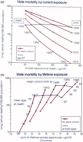 Figure 11. Male lung cancer mortality rates as functions of exposure to national average BS without controlling for cigarette consumption. (a) as coincident with year of death. (b) as cumulative lifetime exposures (Doll Citation1978; QUARG Citation1996).
