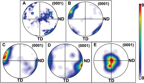 Figure 4. Basal pole figures (0001) along the RD of the (A) as-received sample; (B) the sample tested at 103 s−1 in pure tension; and small-notch cylindrical sample tested at (C) 10−3 s−1, (D) 5 × 103 s−1, and (E) 1.8 × 104 s−1 strain-rates along the RD.