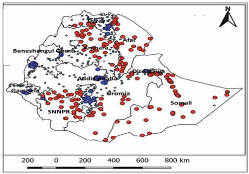 Figure 1. Red colors indicate clusters with the highest percentage of unimproved water while, blue colors show clusters with low unimproved water coverage (Source: Damtew and Geremew (Citation2020)).