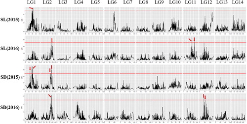 Figure 1. Quantitative trait loci (QTLs) for ramie SL and SD traits. The red line indicates the genome-wide significance LOD threshold, and the red arrow indicates the LOD peak of the QTLs.