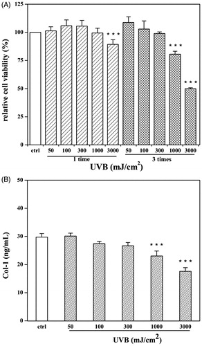 Figure 5. Establishment of UVB-irradiated photoageing model. HDF cells were exposed for different UVB radiation doses (50–3000 mJ/cm2) and exposure times (one or three times). After irradiation, cells were analysed viability (A) and supernatants were detected for production of Col-1 (B). A control group without UVB irradiation was conducted in parallel. Data are expressed as mean ± SD (n = 3). ***p < 0.001 compared with control cells.