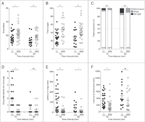 Figure 1. Aggressive behavioral patterns in loser-loser (LL) and winner-winner (WW) pairs of flies. (A) The numbers of encounters were significantly decreased in LL compare with WW pairings at both 10 and 60 min (LL-WW10 min: p = 0.033, n = 27; LL-WW60 min: p = 0.005, n>17). (B) Significantly fewer lunges were observed in LL compare with WW fights at the 2 time points (LL-WW10 min: p = 0.001, n = 27; LL-WW60 min: p = 0.007, n >17). (C) The percentage of fights performed between LL and WW pairings 10 min and 60 min after the 1st fights in which dominance relationship were established were not statistically different (Fisher's exact test LL-WW10 min: p = 1, n = 27; LL-WW60 min: p = 0.66, n > 19). (D) Significantly more encounters were necessary before the first lunge in LL pairings at 10 min after 1st fights only (LL-WW10 min: p < 0.0001, n = 27; LL-WW60 min: p = 0.237, n > 17). The latencies to lunge (E) and to re-establish dominance (F) were significantly increased between LL compare with WW pairings (Latency to lunge: LL-WW10 min: p < 0.0001, n = 27; LL-WW60 min: p = 0.024, n > 17; Latency to dominance: LL-WW10 min: p = 0.004, n = 26; LL-WW60 min: p = 0.1, n >16).