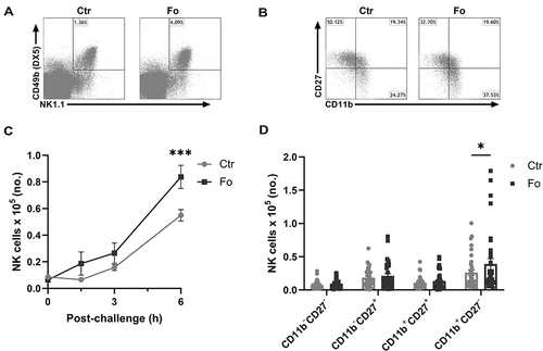 Figure 1 Dietary fish oil increases the number of CD11b+CD27− NK cells in peritoneum of mice 6 h after inflammation induction. Mice were fed control (Ctr, grey line with grey circles) or fish oil (Fo, black line with black squares) diets for 5 weeks. They were immunized twice with mBSA with a 2-week interval and subsequently challenged intraperitoneally. Mice were sacrificed at 0, 1.5, 3, and 6 h following challenge and peritoneal cells collected. Peritoneal cells were counted with a Countess automated cell counter, stained with monoclonal antibodies against CD3, NK1.1, CD49b (DX5), CD11b and CD27 and evaluated by flow cytometry. Representative gating strategy on CD3− lymphocytes to identify NK cells based on their NK1.1 and CD49b (DX5) expression (A) and separation of NK cells into 4 distinct subtypes based on their CD27 and CD11b expression (B) 6 h after inflammation induction in mice fed either Ctr or Fo diets. Number of CD3−NK1.1+CD49b (DX5)+ lymphocytes at different timepoints following induction of inflammation (C) and of those the number of CD11b−CD27−, CD11b−CD27+, CD11b+CD27+, and CD11b+CD27− cells at 6 h after inflammation induction (D). *p < 0.05, ***p < 0.001. n = 9–12 for the 0 and 3 h time-points and 35–48 for 6 h post-challenge. Results are shown as mean ± standard error of the mean from data collected from at least four independent experiments.