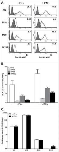 Figure 1. HLA-DP and NY-ESO-1 expression by melanoma cell lines. (A) The melanoma cell lines were cultured for 24 h in the absence or presence of 500IU/mL IFN-γ and then labeled with an IgG1 isotype control antibody (grey) or a monoclonal antibody directed against HLA-DP (white) followed by a staining with a fluorescent secondary antibody. Fluorescence was analyzed by flow cytometry. RMFI is shown on histograms. (B) Results are expressed as the mean ± SEM of RMFI of three independent HLA-DP staining experiments. (C) The melanoma cell lines were cultured for 24 h in the absence or presence of 500IU/ml of IFN-γ. Relative expression of the CTAG1B gene that encodes NY-ESO-1 was measured by RT-qPCR and determined with RPLPO gene expression used as reference. Indicated values are means ± SEM of relative expression of three independent experiments.