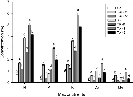 Figure 13. Comparative effectiveness of ACC-deaminase and/or nitrogen-fixing rhizobacteria on macronutrient contents (N, P, K, Ca, and Mg) in shoot of tomato. Different letters (a–g) on bars indicate significant differences of mean values for seedling fresh weight. Bars represent standard errors.CK, control; AB, Azotobacter