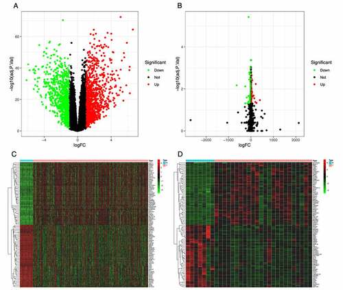 Figure 1. Identification of differentially expressed genes (DEGs) in the TCGA and GSE153659 datasets of thyroid carcinoma (THCA). The cutoff criteria were |logFC| ≥1.0 and adjusted P < 0.05. (a, b) Volcano plots of DEGs in the TCGA-THCA (a) and GSE153659 (b) datasets. (c, d) Heatmaps of the top 50 DEGs in the TCGA-THCA (c) and GSE153659 (d) datasets. Red, up-regulated DEGs; green, down-regulated DEGs