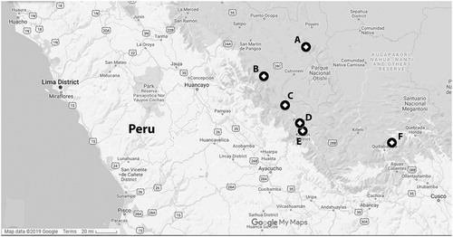 Figure 2. Study areas in Peru. Map data provided by Google Maps.Notes: A: Río Tambo; B: San Martín de Pangoa; C: Canayre; D: Pichari; E: Kimbiri; F: Echarate.