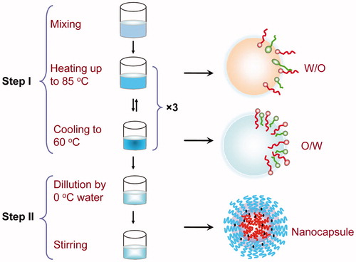 Figure 1. Preparation process of lipid nanocapsules by phase inversion procedure. Step one is a phase inversion between a W/O to an O/W emulsion. Step two leads to the formation of stable nanocapsules by fast irreversible shock dilution induced by cold water (0–2 °C).