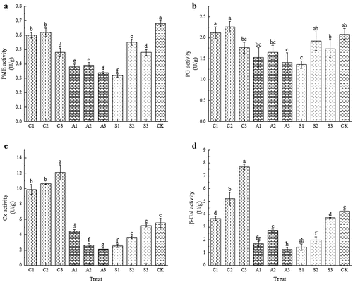 Figure 5. Effect of foliar calcium fertilization on PME (A), PG (B), cx (C) and β-Gal (D) activity. The values are mean ± S.E. of three replicates. Vertical bars represent S.E. Vertical bars with the same letter were not significantly different at p<.05.