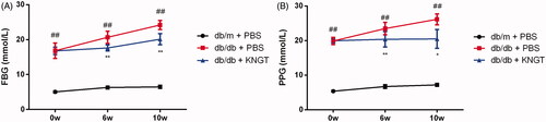 Figure 1. The effects of faecal microbial transplantation from a Kazak individual with normal glucose tolerance on FBG (A) and PPG (B) levels in T2DM db/db mice. Data were analyzed using one-way ANOVA. ## p < 0.01 compared to db/m + PBS mice; *p < 0.05; **p < 0.01 compared to db/db + PBS mice.