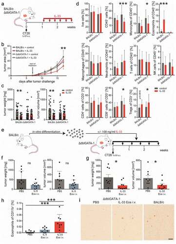 Figure 4. Eosinophils are necessary for a reduction in tumor growth by IL-33.