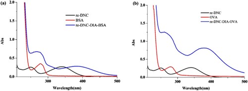 Figure 3. UV-Vis spectroscopy of proteins, re-DNC, and conjugates, (a) is confirmation of re-DNC-BSA immunogen (re-DNC-DIA-BSA); (b) is confirmation of re-DNC-OVA coating antigen (re-DNC-DIA-OVA).