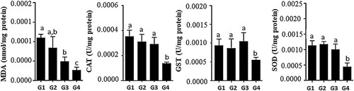 Figure 1. Redox status of the hepatic tissue of rats receiving the Euterpe edulis extract-supplemented diet. MDA: malondialdehyde; CAT: catalase; GST: glutathione-S-transferase; SOD: superoxide dismutase. G1: commercial ration; G2: commercial ration + 4% OE; G3: commercial feed + 10% LEE; G4: commercial ration + 10% LEDE defatted. a, b, c Different letters in the columns denote a statistical difference between groups at p < .05.
