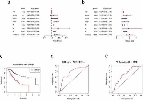 Figure 6. Cox analysis of differentially expressed genes. (a) Univariate Cox analysis of clinical variables related to the prognosis of hepatocellular carcinoma (HCC). (b) Multivariate Cox analysis of clinical variables related to the prognosis of HCC. (c) Kaplan-meier curve of the survival time of the high-risk and low-risk groups. (d) one-year receiver operating characteristic (ROC) curve analysis. (e) three-year ROC curve analysis