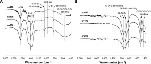Figure 2 Fourier transform infrared spectra of sol-gel-derived calcium silicate cements (sCSC), comprising so400, sn400, and sn200. (A) Gel products after drying; (B) powder products after calcination.