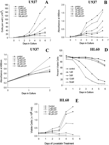 Figure 1. Time course of statin dependent effects on proliferation and AML cell viability. The time dependence of lovastatin (LST) induced effects on proliferation and apoptosis were determined in U937 or HL60 cells. Treated samples were compared with that of untreated cells. (N ≥ 3, one example is shown for each assay.) (A) Cells counts by day of culture, at various concentrations. Cell number was determined using a Coulter counter. Shown are total cell counts. At lower concentrations (i.e. <15 µM), differences between treated and untreated cells are best seen after at least 4 days of statin exposure. (B) Time course of changes in absorbance (MTS assay). Cell proliferation was measured using an MTS-like colorimetric assay that reflects cellular metabolism. (C) Effects of statins during the first 2 days of culture. Cells were plated at a concentration of 10,000 cells per well in order to look at the effects of lovastatin on proliferation during the first 2 days of drug exposure. These results show that lovastatin did not markedly affect proliferation during the first 2 days of statin exposure, especially at the lower concentrations studied. (D) Percentage of viable cells, by apoptosis, after lovastatin exposure, by day of culture (HL60 cells). Percentage of cells, by day, that were negative for both PI and Annexin. (E) Viable cell number. Using the same data set as shown in 1D, the number of viable cells was determined for each day of treatment by multiplying the number of cells as determined the Coulter counter by the percentage of cells negative for both annexin and PI. In each assay, the cytotoxic effects of concentrations of statins in the clinically relevant range (i.e. ≤5 – 12 µM) are seen only with longer duration of statin exposure.