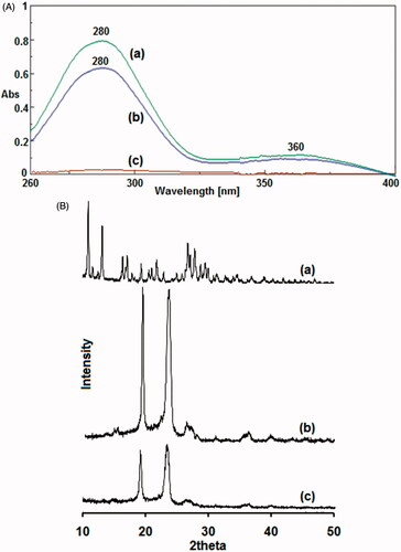 Figure 4. A. UV–VIS absorbance spectra of (a) folic acid (FA), (b) folate-conjugated pluronic127 (PF127-FA) and (c) pluronic127 (PF127). B. Powder X-ray diffraction patterns of (a) folic acid (FA), (b) pluronic127 (PF127) and (c) folate-conjugated pluronic127 (PF127-FA).