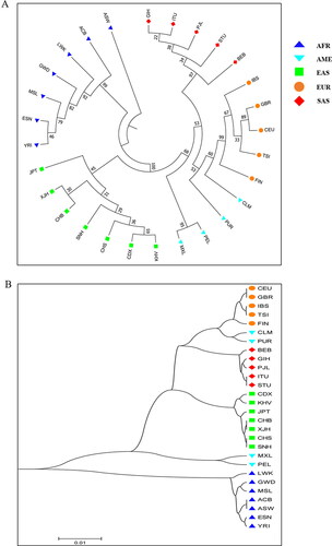 Figure 3. Phylogenetic trees via NJ and UPGMA algorithms. (A) An NJ tree was conducted based on allelic frequencies of 43 InDel loci by PHYLIP package. (B) A phylogenetic tree was conducted on the basis of DA values using UPGMA by MEGA 7 software. See Table 1 for the full names of abbreviations of populations groups.