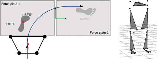 Figure 1. Left: Laboratory setup. All sidestepping trials executed to the left side were modified to match the right sidestepping trials by using the left leg as the EXEC leg and touching force plate 1 during the EXEC contact. The black trapezium represents the pelvis segment with the four pelvis markers that were used to calculate the pelvis centre at the initial touch-down of the EXEC contact. The green coordinate system represents the global reference frame. Right: 3D position of the lower-body markers on the pelvis, thighs, shanks and feet.