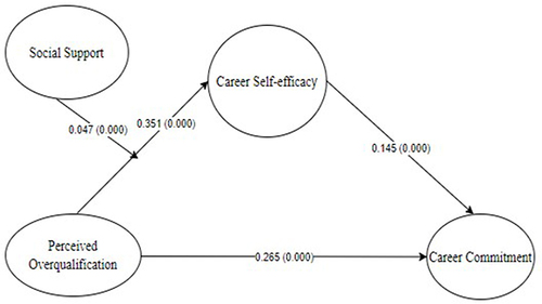 Figure 3 SEM Results.