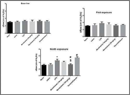 Figure 2. Effect of oral treatment with Montelukast (10 and 30 mg/kg) and dexamethasone on airway function of conscious guinea pigs during base line, after first exposure and after chronic exposure (9 times) to LPS (30 mg/ml) or vehicle (saline) inhalation, for 1 hour, 48 hours apart. Drug treatment started 1 day before LPS exposure and continued daily for 20 days. Airway function was expressed as specific airway resistance (sRaw). Each point represents the mean ± S.E.M. (n = 6). Significance of differences from saline exposure (*, p < 0.05), significance of differences from LPS exposures (#, p < 0.05) and significance of differences from dexamethasone treatment ($, p < 0.05) were determined by analysis of variance (single factor), followed by Newman–Keuls Multiple Comparison Test.