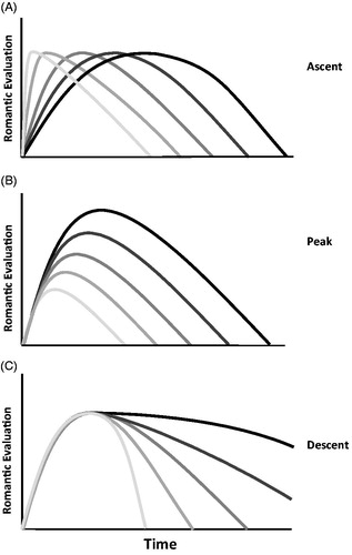 Figure 1. The shape dimension. Note. Relationship trajectories can vary in ascent (Panel A), peak (Panel B), and descent (Panel C).