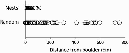 Figure 1. Distances of Rock Ptarmigan nests (n = 61) and random points (n = 60) from the nearest boulder.