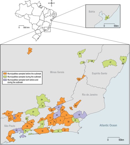 Figure 1. Brazilian municipalities sampled before, during and both before and during local YFV transmission. 1 – Além Paraíba; 2 – Belo Horizonte; 3 – Cachoeiras de Macacu; 4 – Cordeiros; 5 – Guapimirim; 6 – Itamonte; 7 – Itanhandu; 8 – Magé; 9 – Miguel Pereira; 10 – Niterói; 11 – Nova Friburgo; 12 – Paraty; 13 – Petrópolis; 14 – Piraí; 15 – Porciúncula; 16 – Queluz; 17 – Resende; 18 – Rio Claro; 19 – Rio de Janeiro; 20 – Silva Jardim; 21 – São Sebastião do Alto; 22 – Saquarema; 23 – Sumidouro; 24 – Três Rios; 25 – Belmiro Braga; 26 – Casimiro de Abreu; 27 – Domingos Martins; 28 – Ibatiba; 29 – Juiz de Fora; 30 – Mangaratiba; 31 – Manhumirim; 32 – Maricá; 33 – Nova Iguaçu; 34 – Salvador; 35 – Serra; 36 – Simonésia; 37 – Valença; 38 – Vitória; 39 – Volta Redonda; 40 – Angra dos reis; 41 – Carmo; 42 – Itatiaia; 43 – Macaé; 44 – Teresópolis.