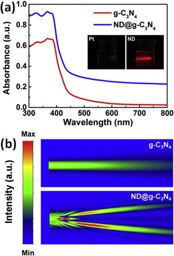 Figure 18. The significant light scattering effect of NDs [Citation39]. (a) UV-vis DRS spectra of g-C3N4 and ND@g-C3N4 (ND 10 wt%) heterostructures and corresponding scattering effect (insert) of the NDs and Pt nanoparticles in water solution. (b) Behavior of light when propagating through g-C3N4 and ND@g-C3N4 (ND 10 wt%) heterostructures.