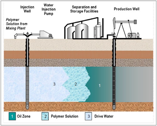 Figure 3. Polymer flooding mechanism. adopted from ref.[Citation20]