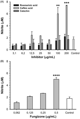 Figure 5. Nitric oxide production by L. infantum-infected RAW 264.7 macrophages treated with different concentrations of ARGLi inhibitors. (A) Treatment with 3.1–200 μg/mL of rosmarinic acid (black), caffeic acid (light gray), and catechin (dark gray). (B) Treatment with 0.062–0.5 μg/mL of the reference drug fungizone. Control (white) represents the production of nitric oxide by infected and untreated macrophages. Nitrite concentration was measured by the Griess reaction and data represent mean ± SE of two independent experiments. Asterisks indicate treatments that were significantly different compared to the control, in which ****p < .0001,***p < .001, and **p < .01.