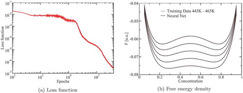 Fig. 6. Loss function and free-energy density