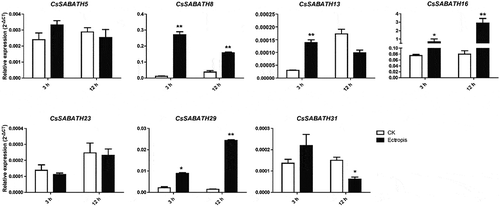 Figure 8. The relative expression levels of CsSABATHs at different time points after Ectropis obliqua feeding in tea leaves. The bars represent the mean+SE (n = 3). Significant differences between the treatments and CK were determined by Student’s t test (*p < .05, **p < .01).