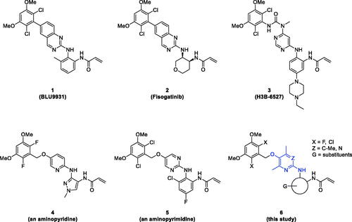 Figure 1. Representative selective and irreversible FGFR4 inhibitors (1 ∼ 5) and general structure (6) of novel compounds prepared in this study.