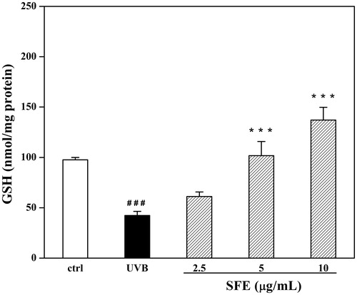 Figure 8. Effect of SFE on cellular GSH level in UVB-irradiated HDF cells. HDF cells were incubated with different concentrations (0, 2.5, 5 and 10 μg/mL) of SFE and irradiated by UVB (3000 mJ/cm2) every 12 h for three times. Control group without UVB irradiation was conducted in parallel. Cell homogenates were detected for GSH. Data are the mean ± SD (n = 3). ###p < 0.001 compared with control cells, ***p < 0.001 compared with cells only treated by UVB.