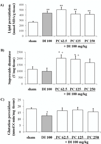 Figure 5.  Effects of administration of different doses of the dry residue from ethanol extract of P. carpunya on lipid peroxidation, superoxide dismutase and glutathione peroxidase activity in gastric damage induced by diclofenac treatment. *, P < 0.05; and **, P < 0.01 versus sham group; +, P < 0.05 versus diclofenac group.